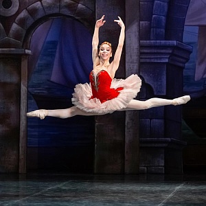 Балет «Дон Кихот»