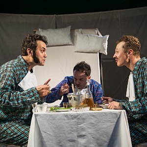 Премьера просветительского перформанса «Современная идиллия» Салтыкова-Щедрина. Фотоальбом